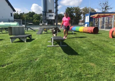 Kleinhunde Gerätestunde