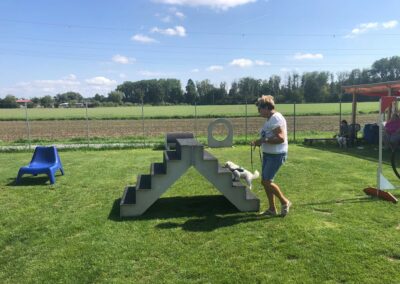 Kleinhunde Gerätestunde