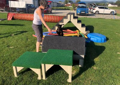 Kleinhunde Gerätestunde