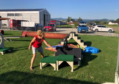 Kleinhunde Gerätestunde