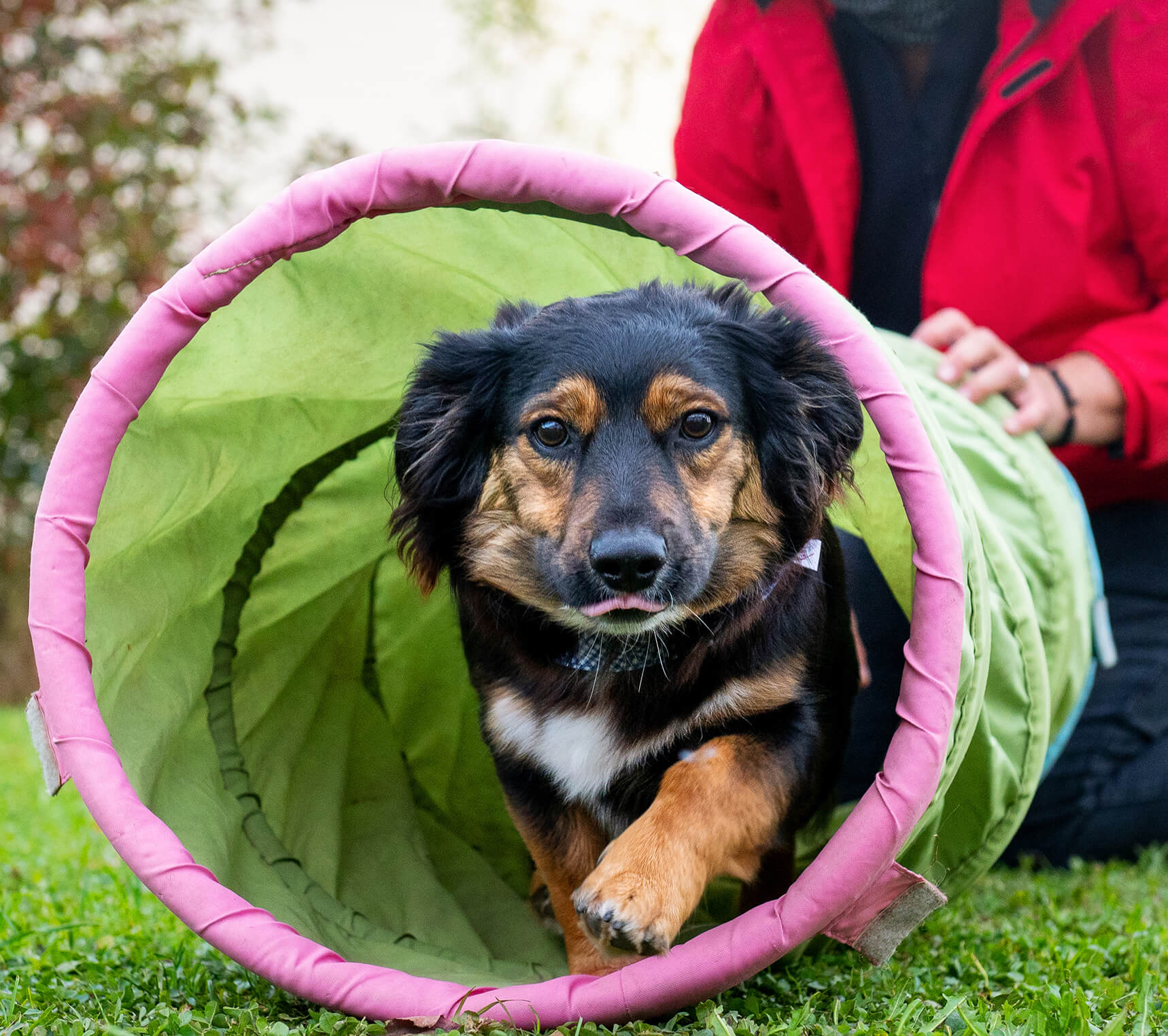 Galerie Gruppenstunden Spezialstunden