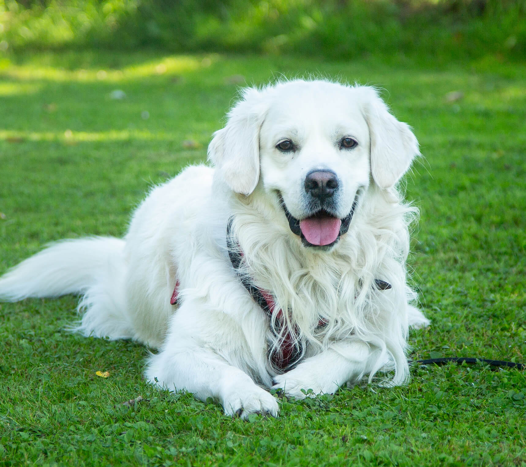 Galerie Kurse Seminare Workshops klein