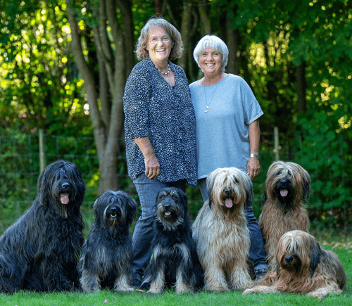 Aktuelles aus der Hundeschule